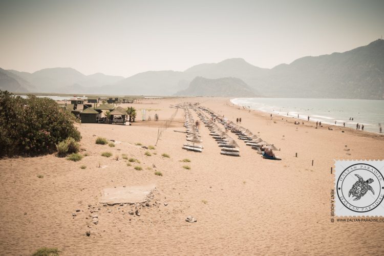 Iztuzu Beach