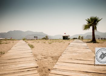 Dalyan Iztuzu Beach